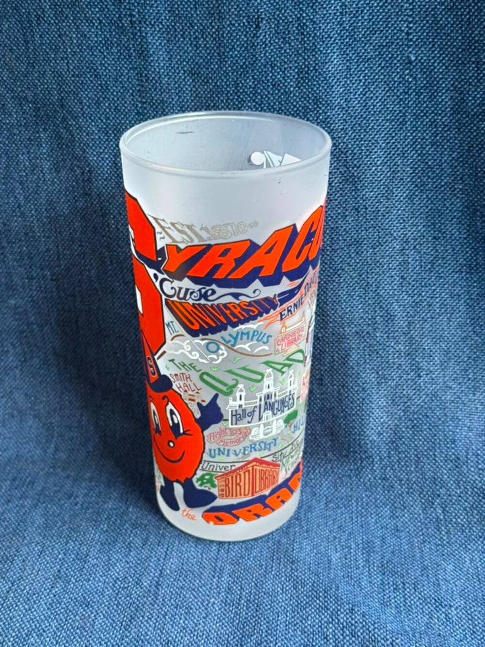 2020 Catstudio Syracuse University Frosted Glass Tumbler College Mascot 15oz